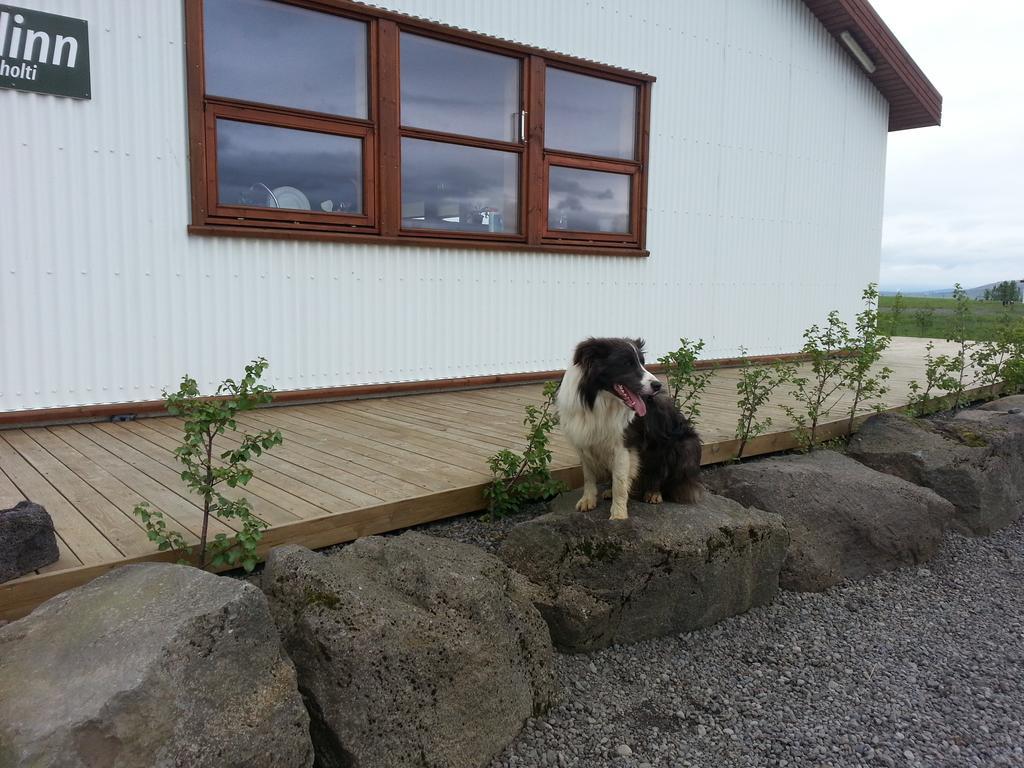 Skálinn between Gullfoss&Geysir - Myrkholt Farm Haukadalur Exterior foto