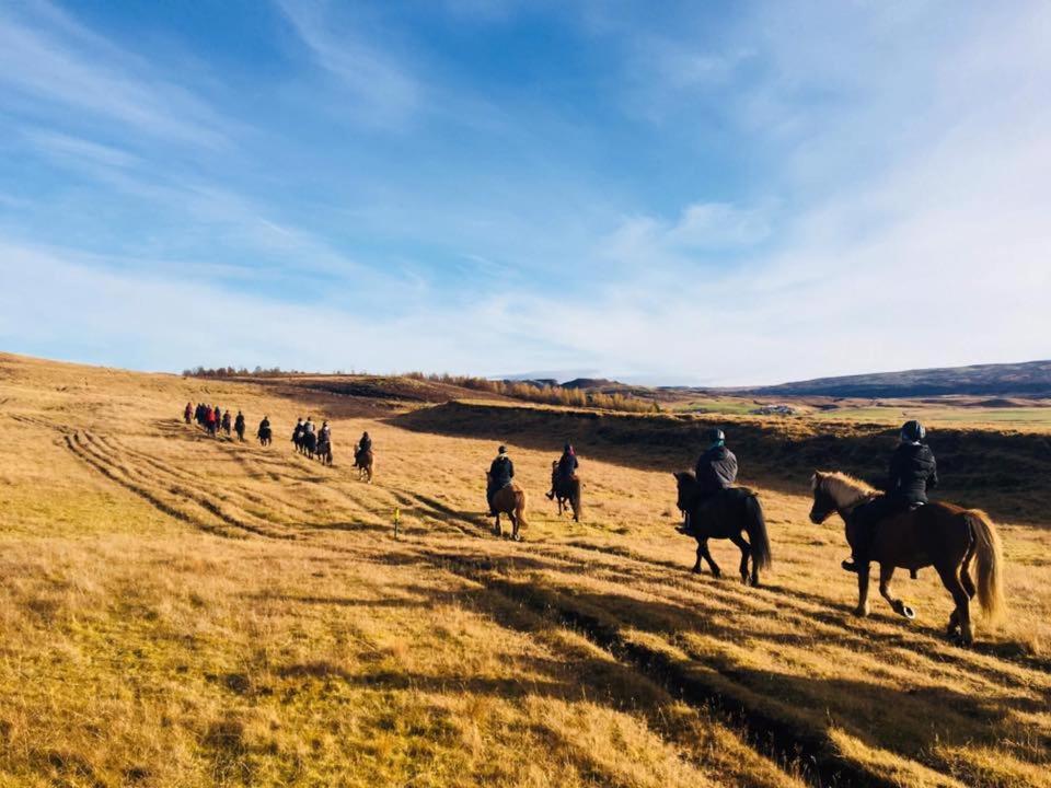 Skálinn between Gullfoss&Geysir - Myrkholt Farm Haukadalur Exterior foto